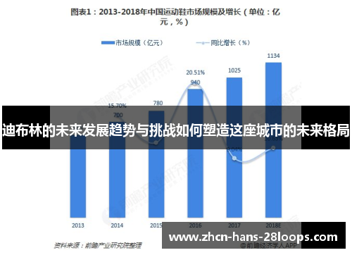 迪布林的未来发展趋势与挑战如何塑造这座城市的未来格局 迪布林的未来发展趋势与挑战如何塑造这座城市的未来格局