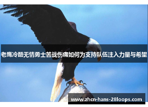 老鹰冷酷无情勇士苦战伤痛如何为支持队伍注入力量与希望