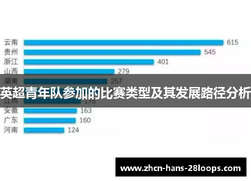 英超青年队参加的比赛类型及其发展路径分析 英超青年队参加的比赛类型及其发展路径分析