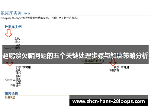 赵鹏谈欠薪问题的五个关键处理步骤与解决策略分析